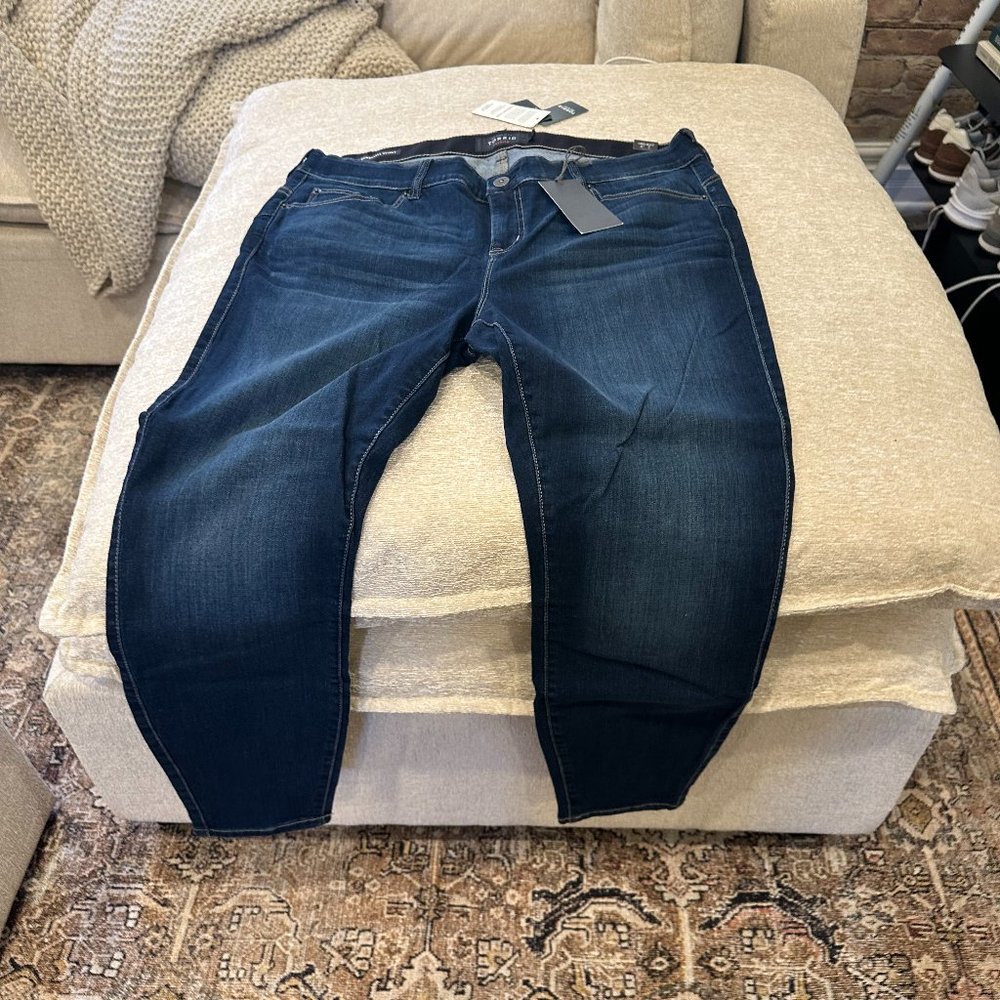 Torrid Jeans